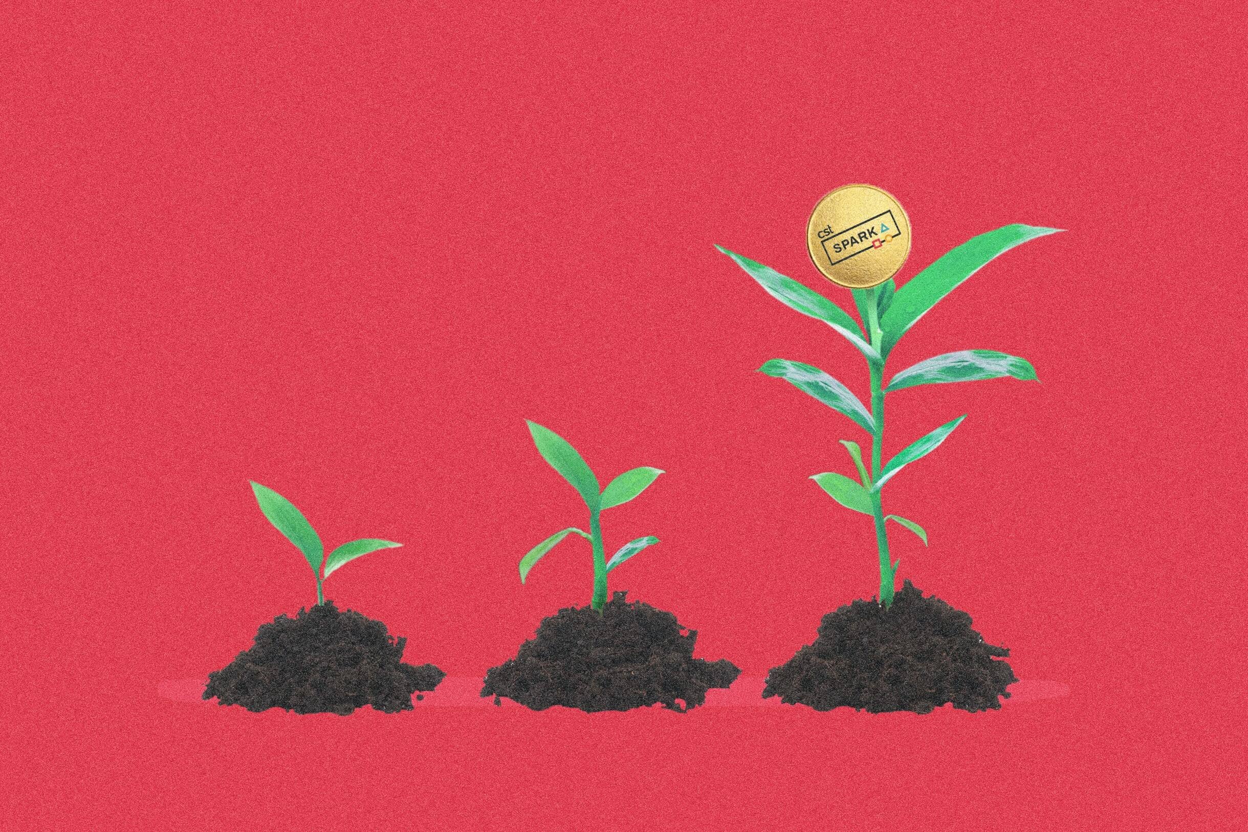 What You Need to Know About Taxes and RESPs CST Spark